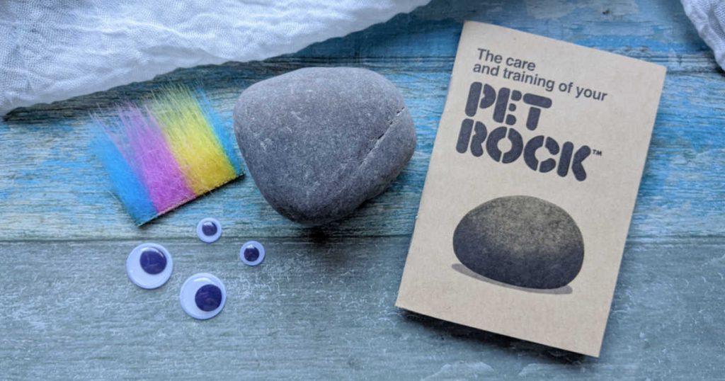 Pet Rock As Seen in The Minions Movie Mama Likes This