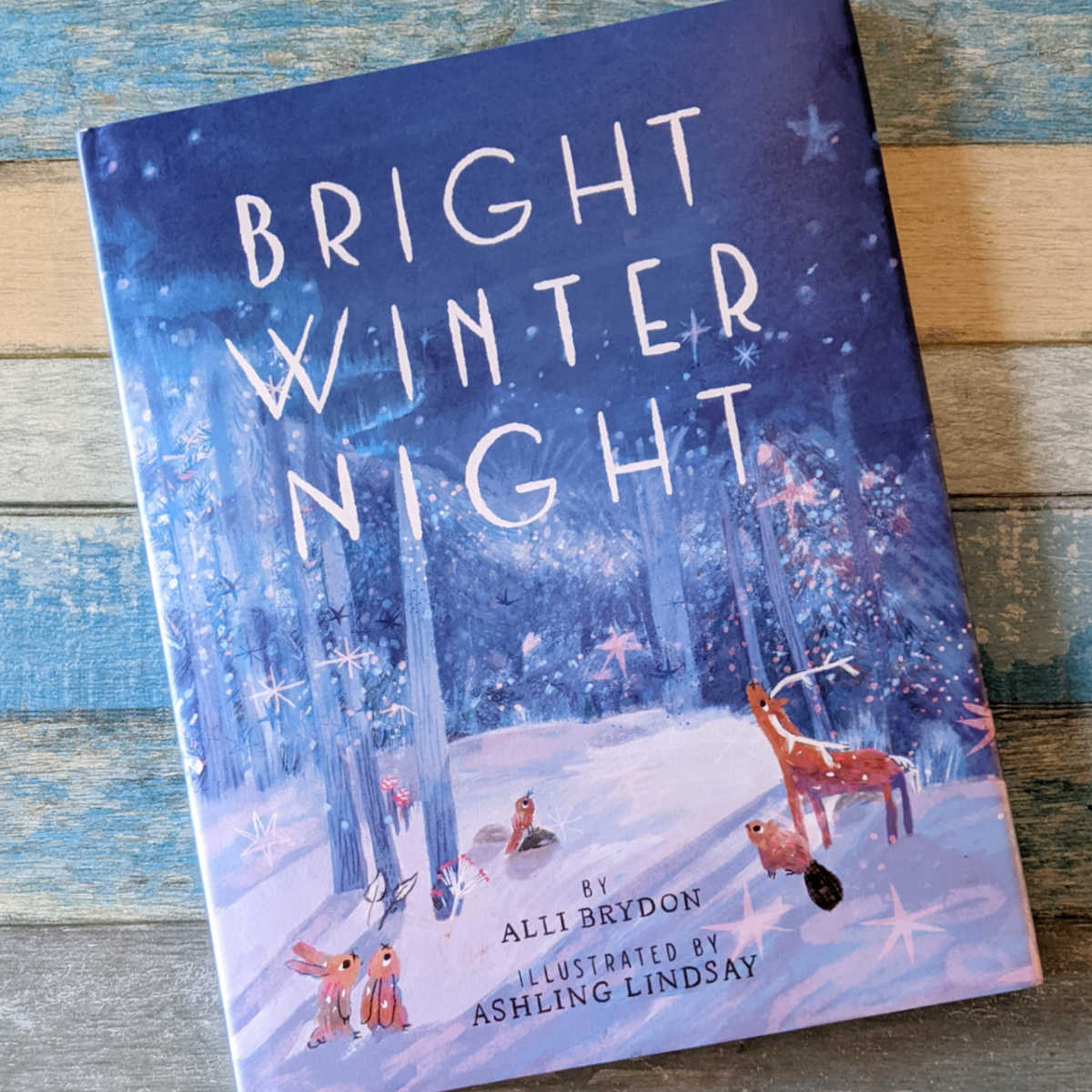 picture book bright winter night