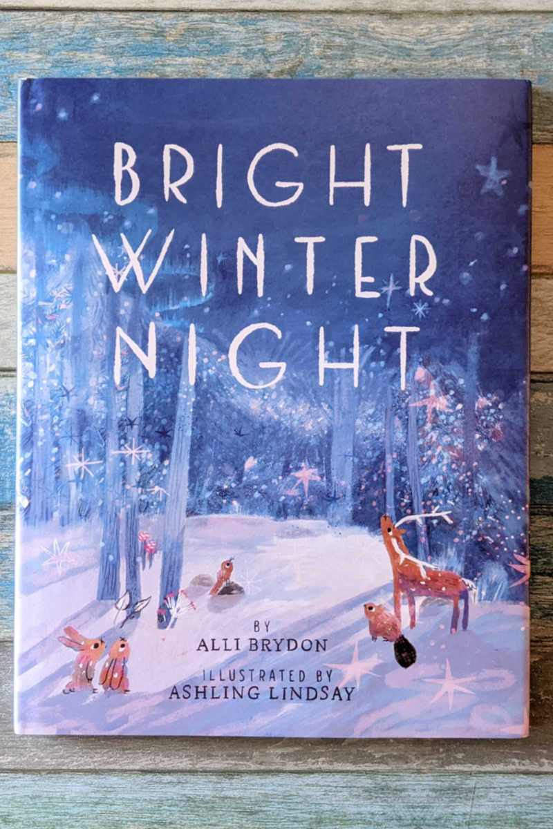 pin bright winter night book