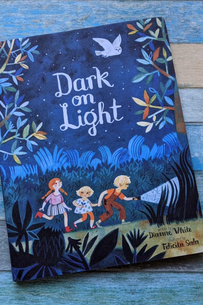 Kids can explore the wonders of being outside at night, when they read the beautifully illustrated Dark on Light picture book. 