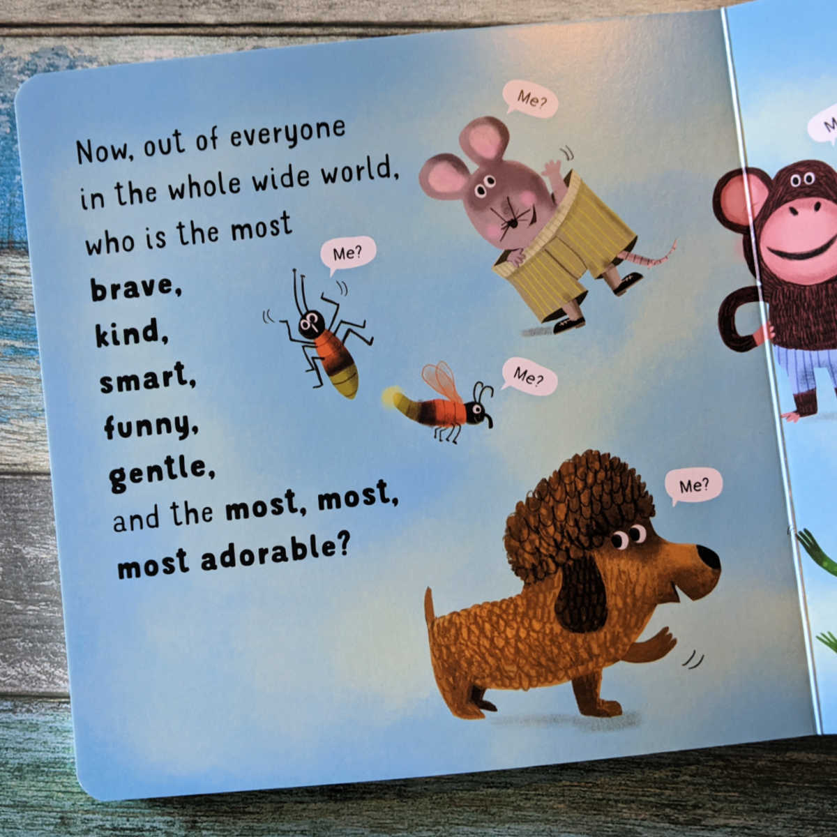 guess who board book