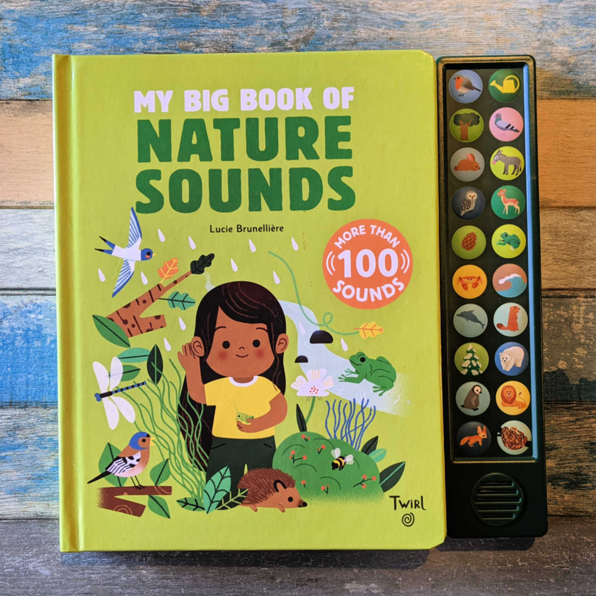 Little ones will love My Big Book of Nature Sounds as they interact with the words, cute illustrations and push button sounds.