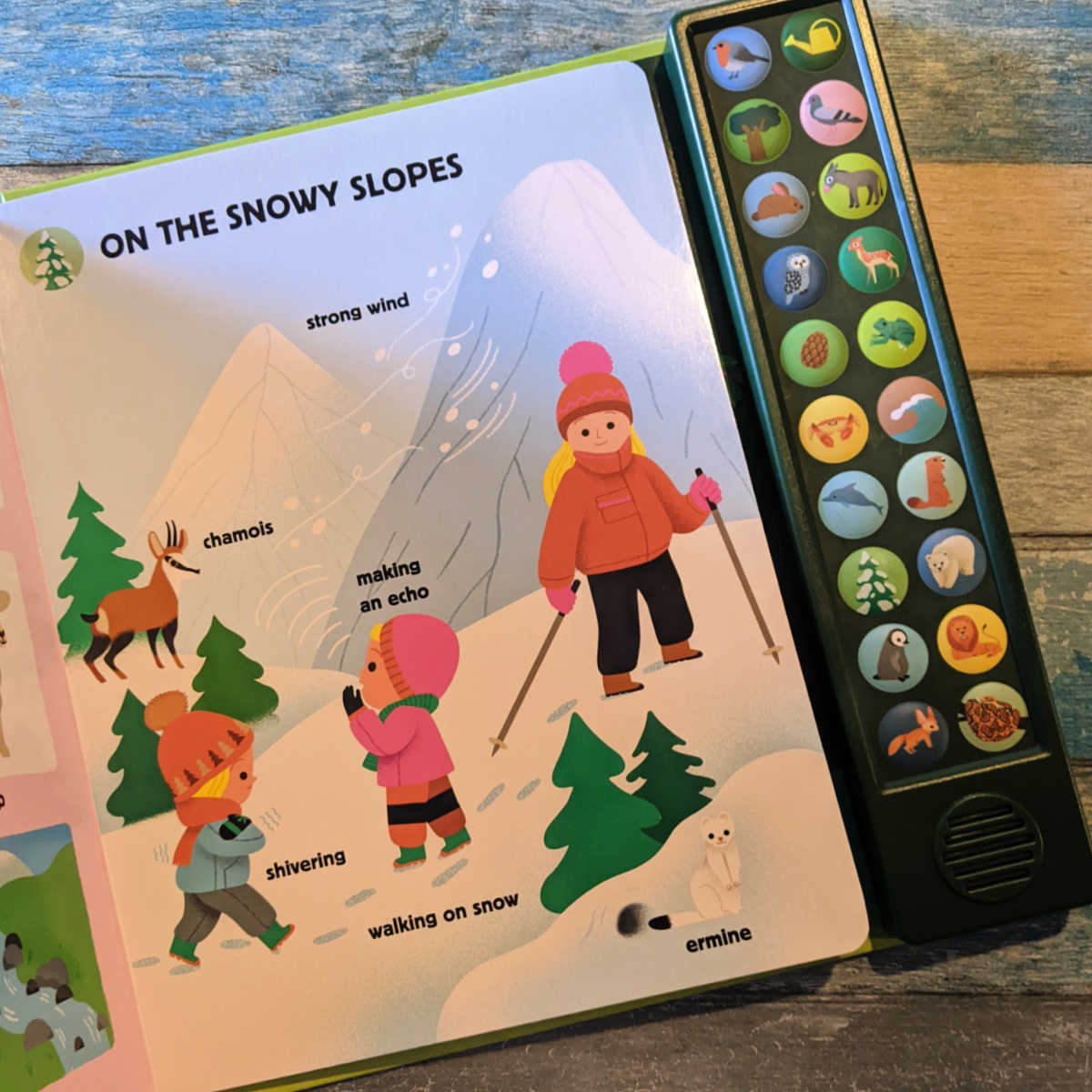 snowy nature sounds book