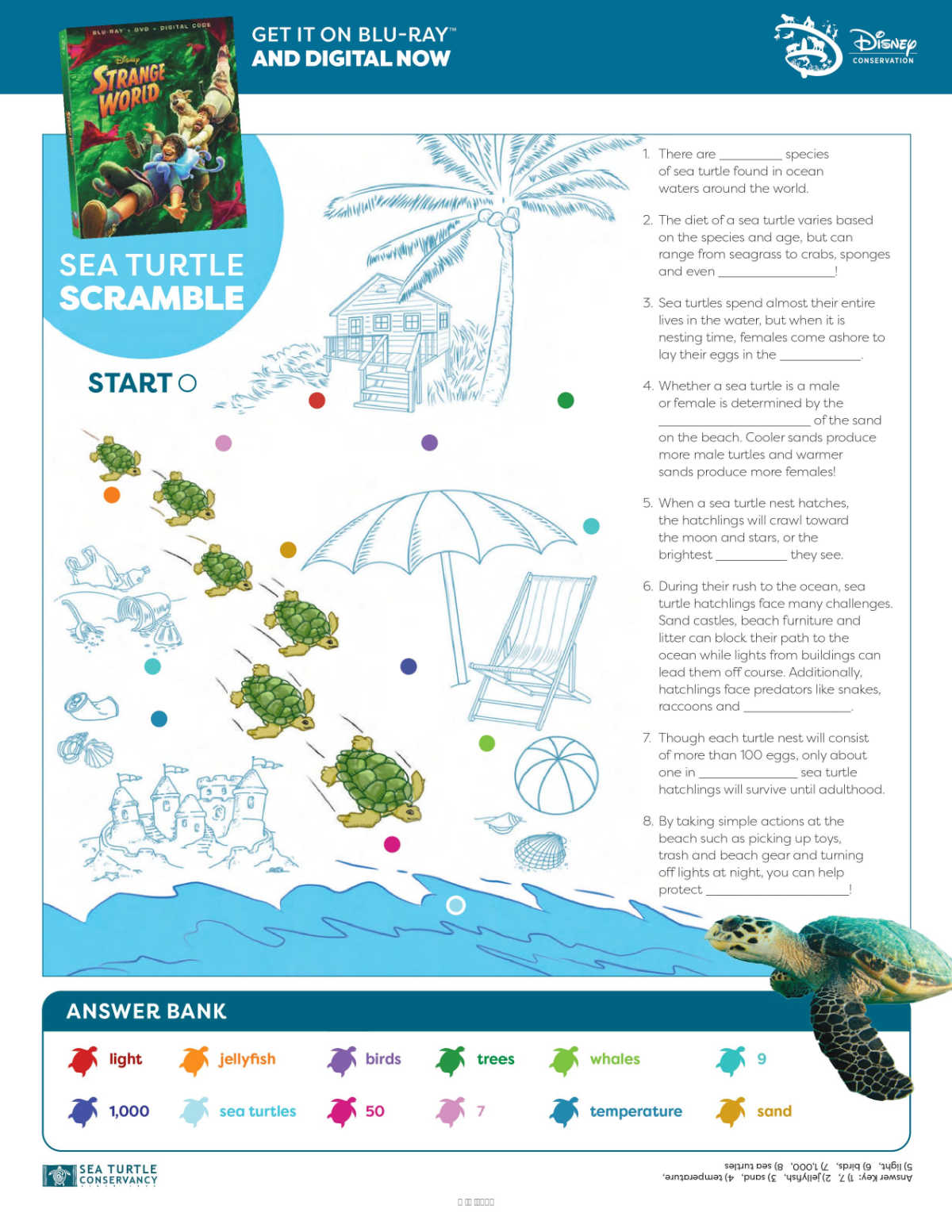 2nd sea turtle activity page