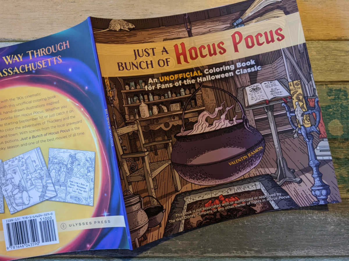 the just a bunch of hocus pocus coloring book