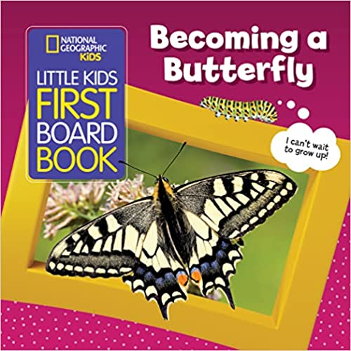 becoming a butterfly book