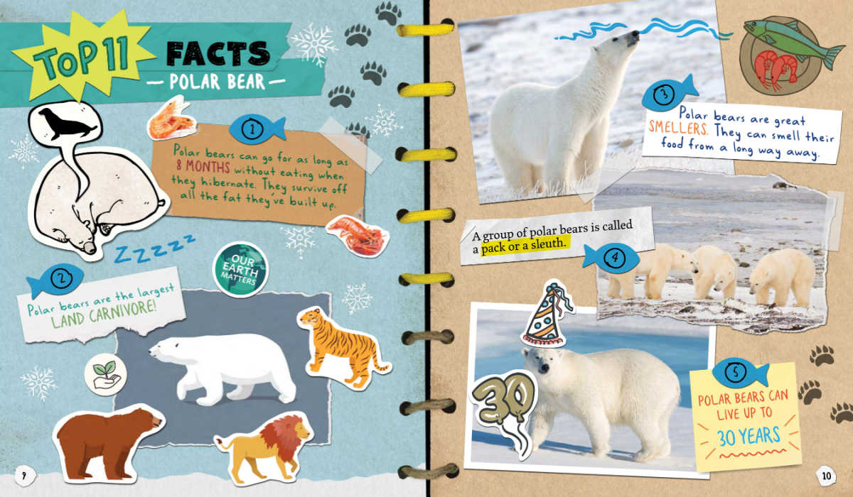 5th page polar bear guide