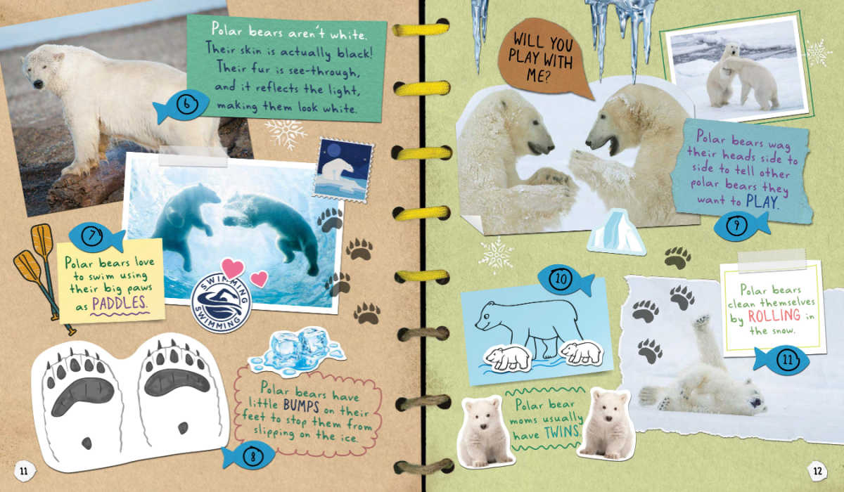 Simple travel scrapbooking - I Am a Polar Bear