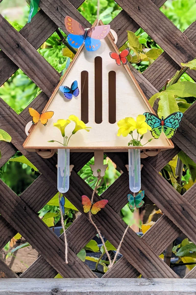 Start with a Craft-tastic Butterfly House craft kit for a fun and easy way to create a beautiful home for butterflies.