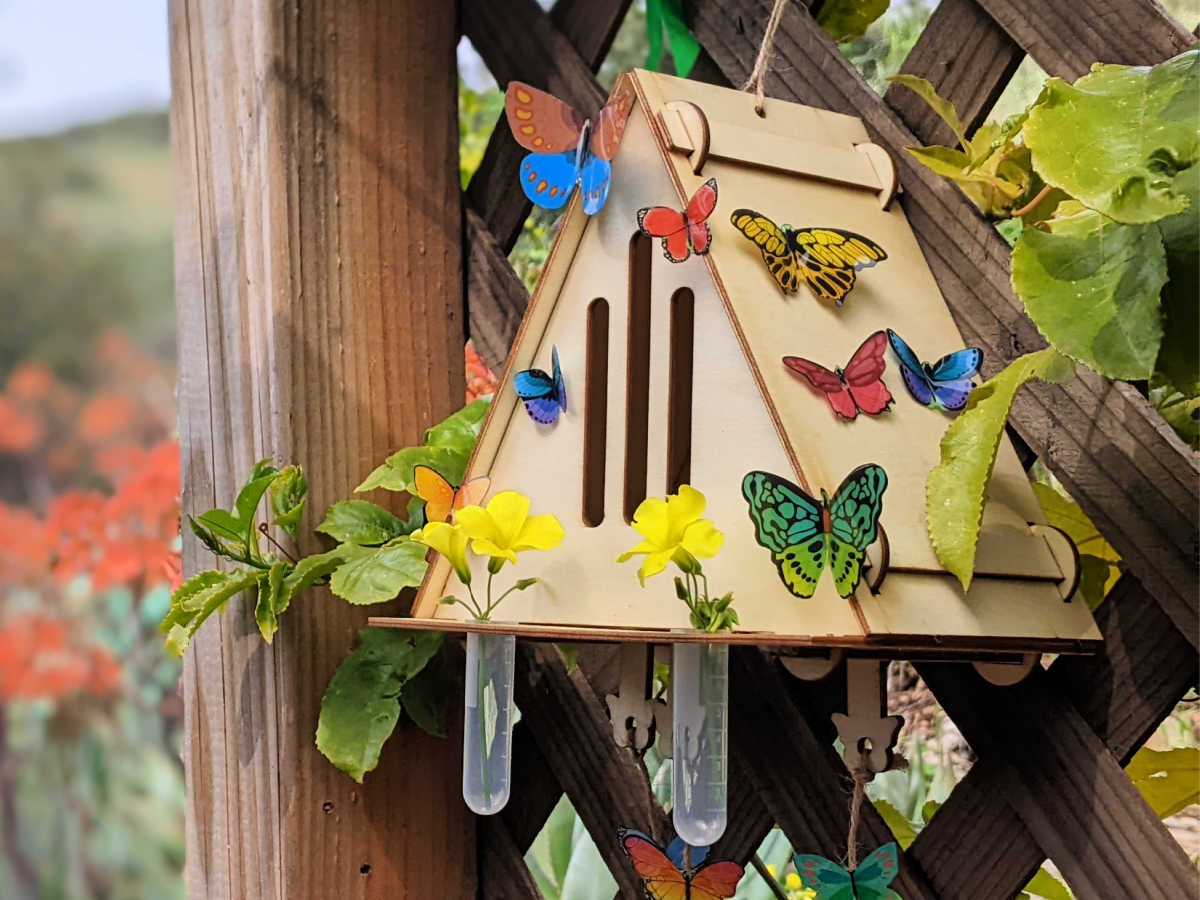 diy butterfly house craft