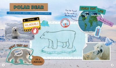 feature jane polar bear guide