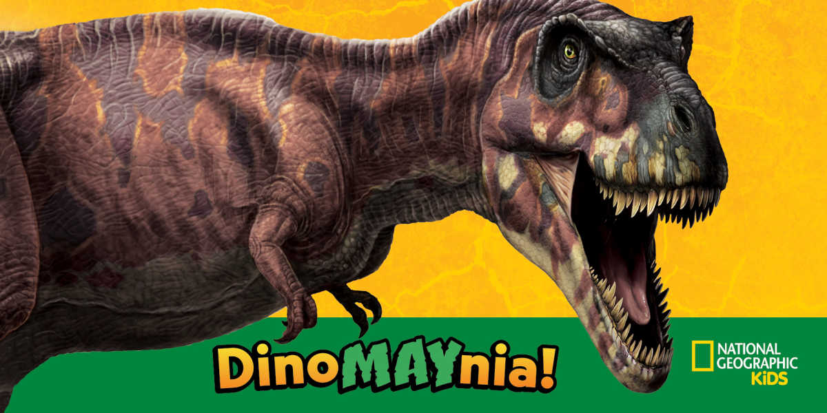 dinosaur dinomaynia