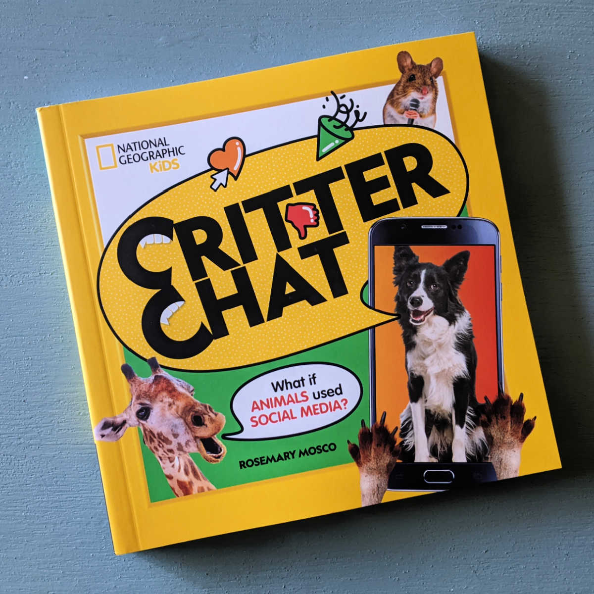 kids critter chat book