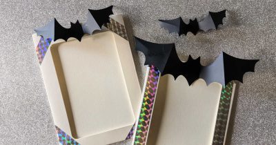feature bat frame craft