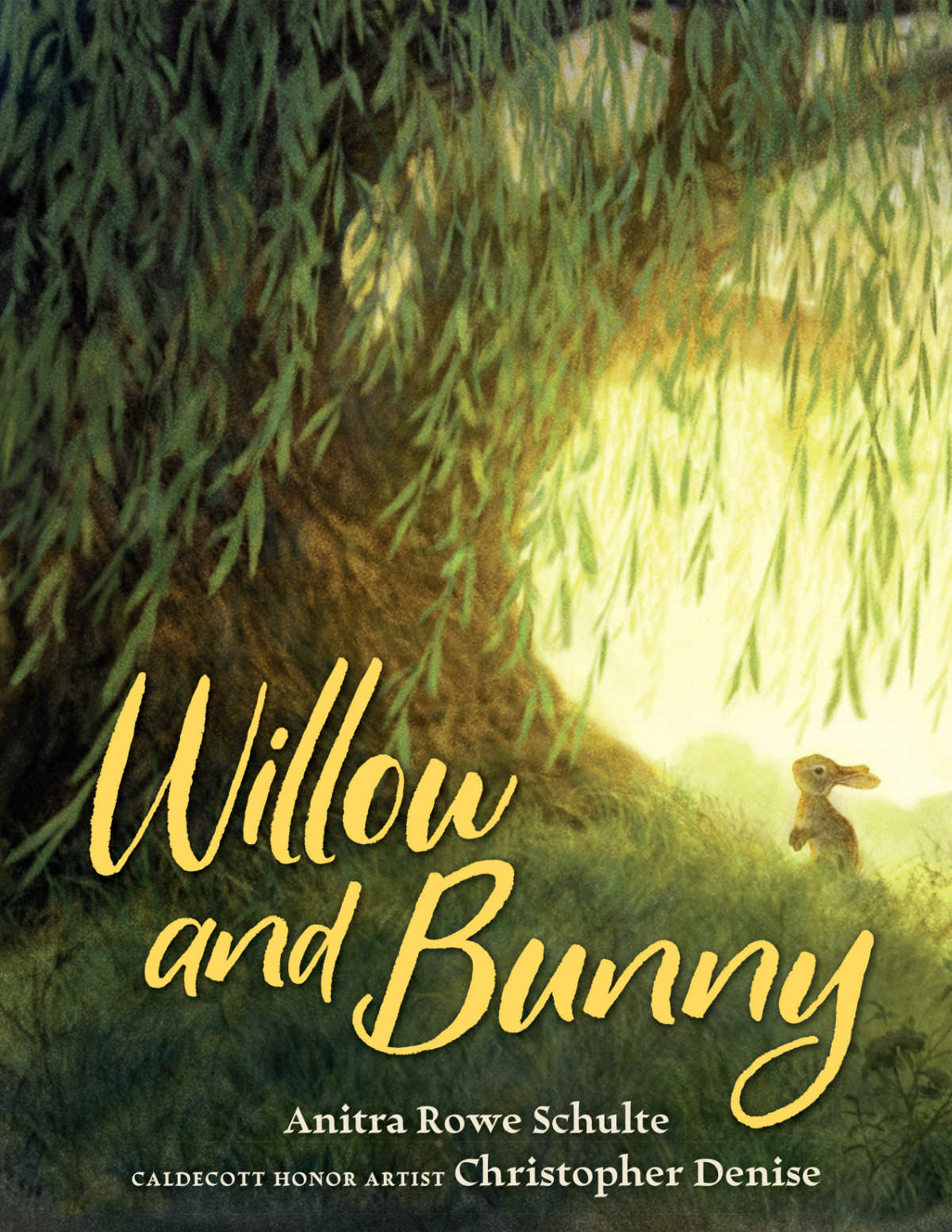 Illustrated willow and bunny book