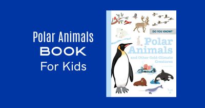 feature polar animals book for kids