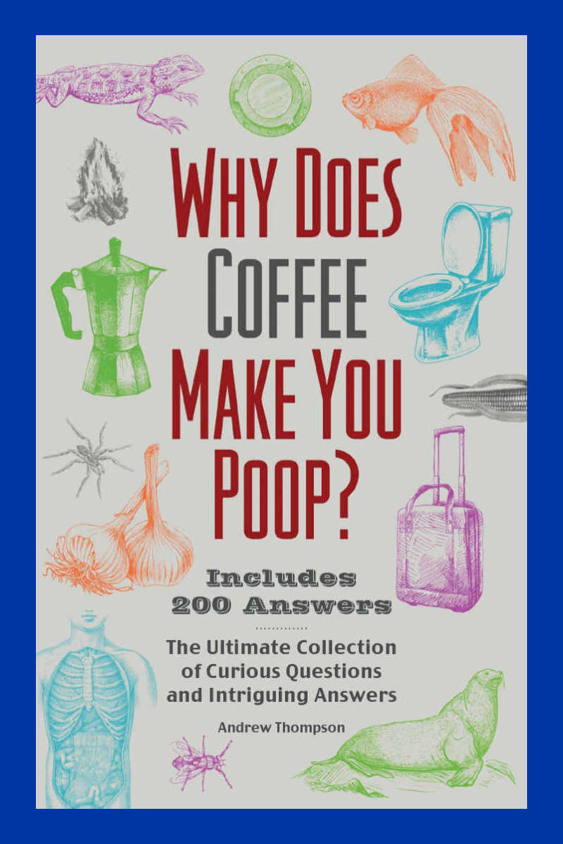 Dive into a world of fascinating and hilarious trivia with Andrew Thompson's latest book, "Why Does Coffee Make You Poop?". Uncover the answers to life's most perplexing questions and impress your friends with your newfound knowledge.