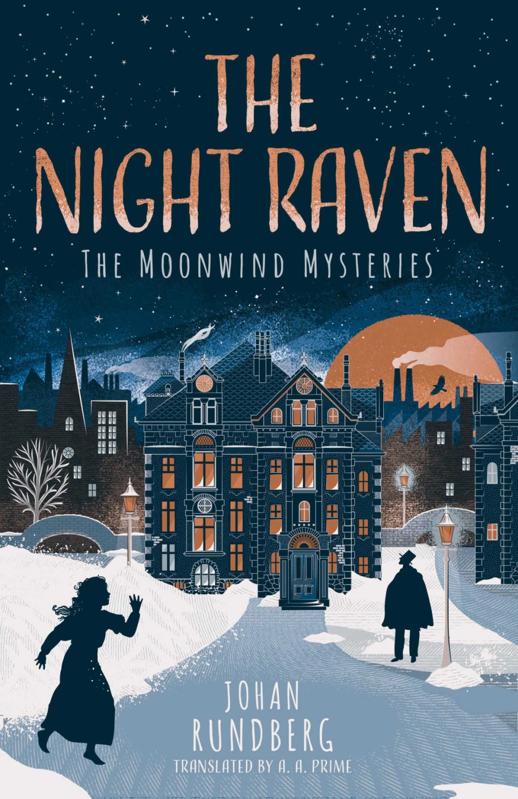 historical mystery book the night raven