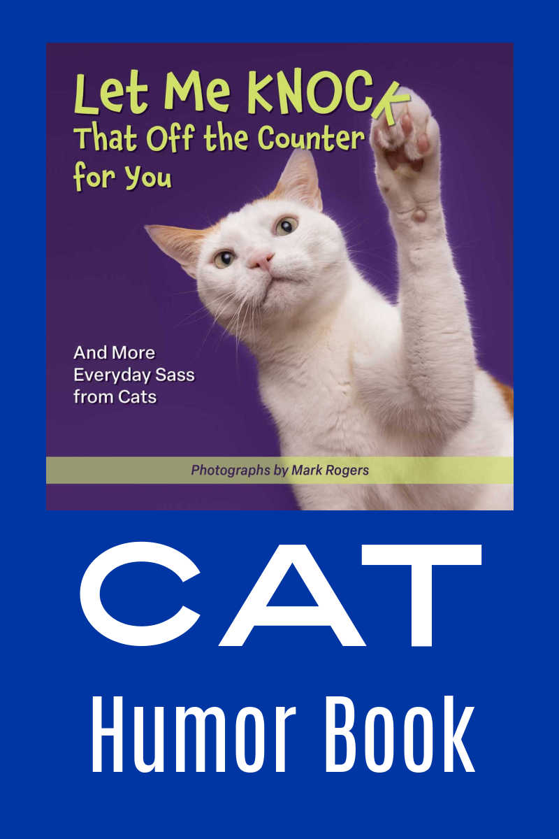 Cat lovers, rejoice! Let Me Knock That Off The Counter For You: And More Everyday Sass from Cats will have you laughing out loud.