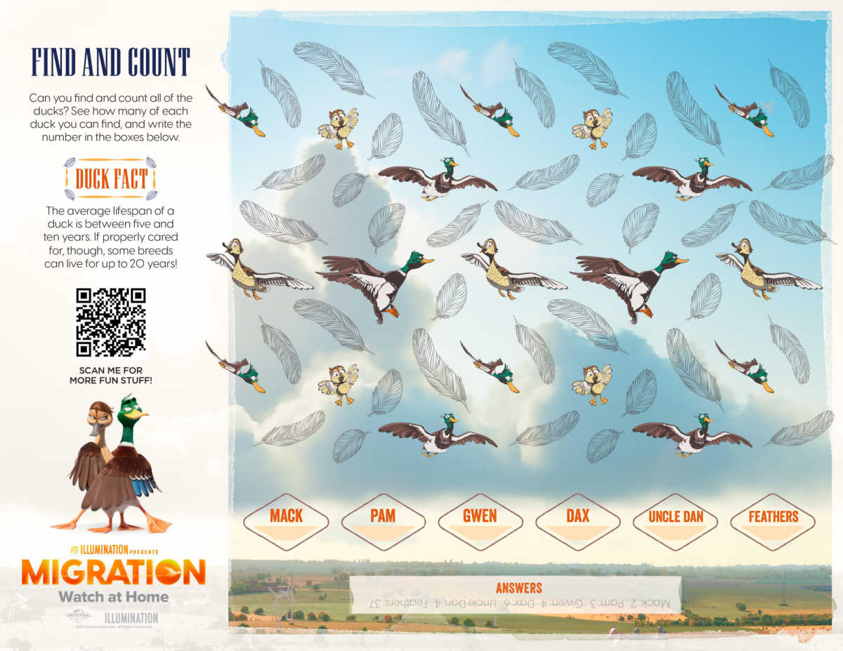 bird counting migration activity page
