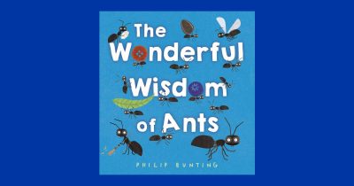 feature the wonderful world of ants book