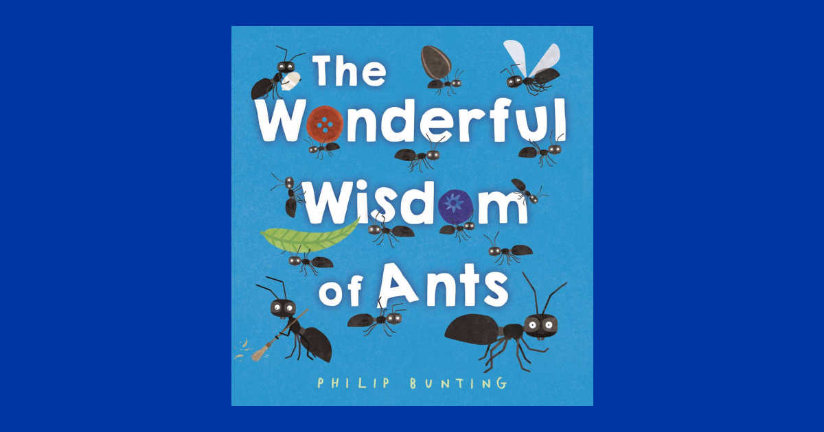 feature the wonderful world of ants book