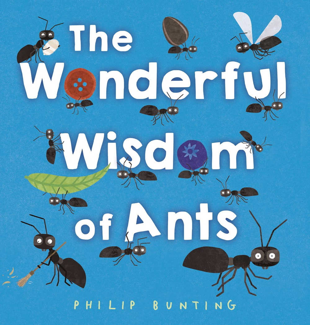 wonderful wisdom of ants childrens book