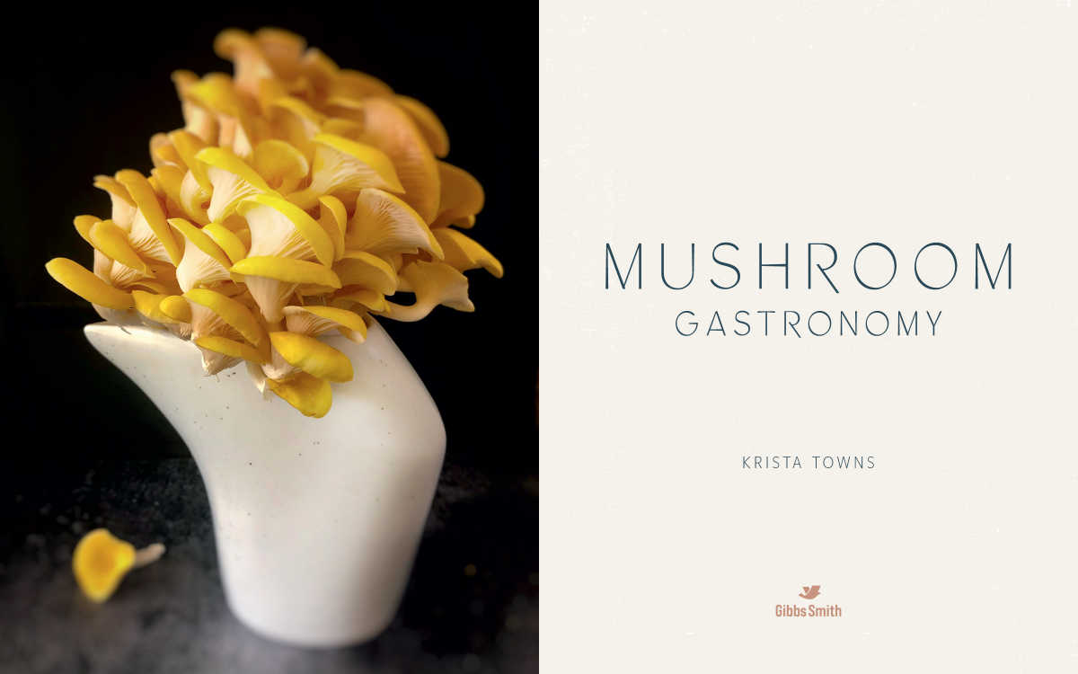 cover page Mushroom Gastronomy cookbook
