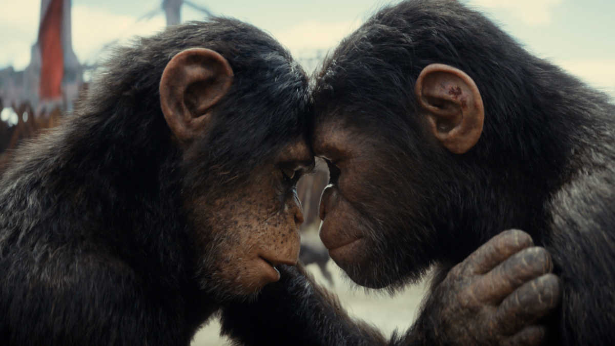 The saga continues in Kingdom of the Planet of the Apes! Stunning visuals, captivating action, and thought-provoking themes make this a must-watch for fans and newcomers alike.