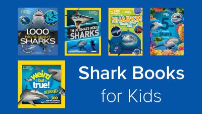 feature nat geo shark fest books