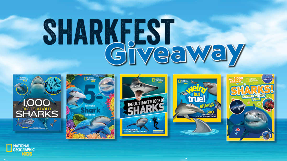 sharkfest giveaway