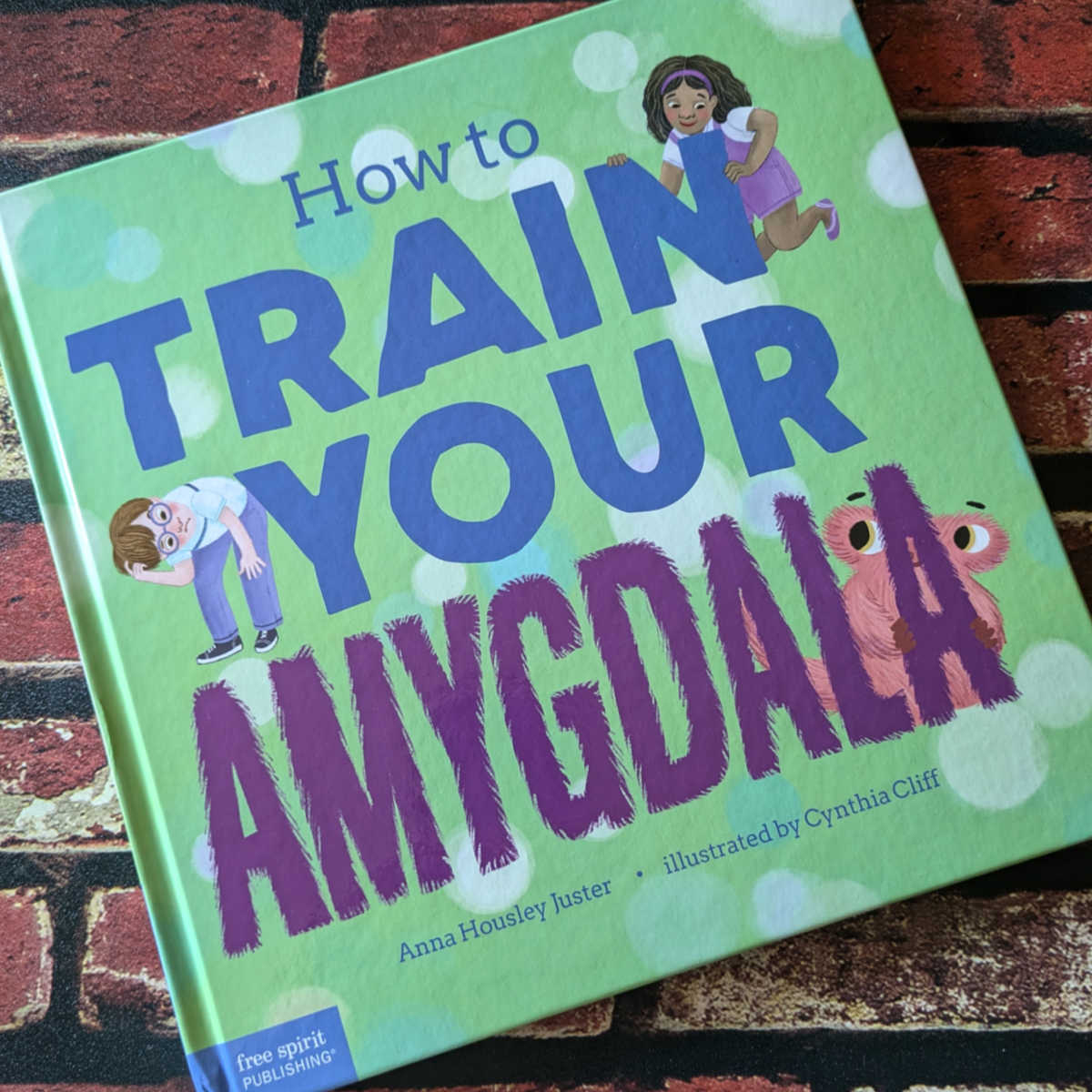 childrens how to train your amygdala book