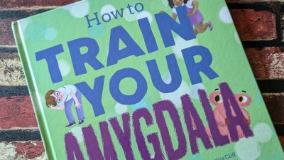 feature train your amygdala