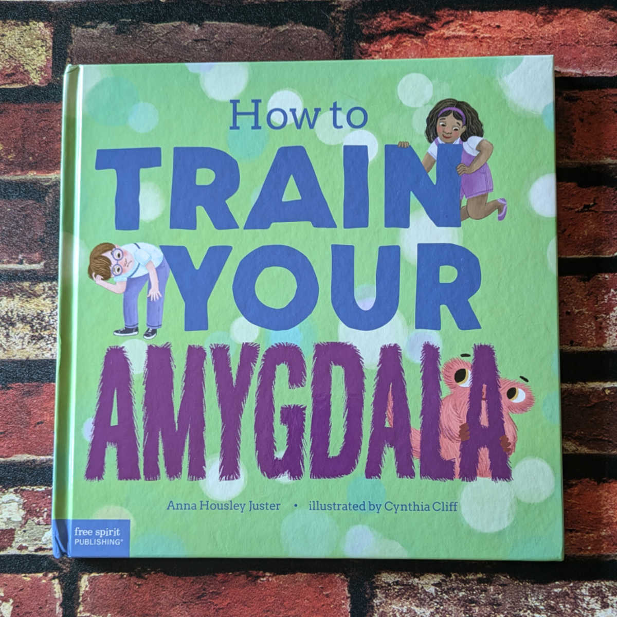 picture book how to train your amygdala