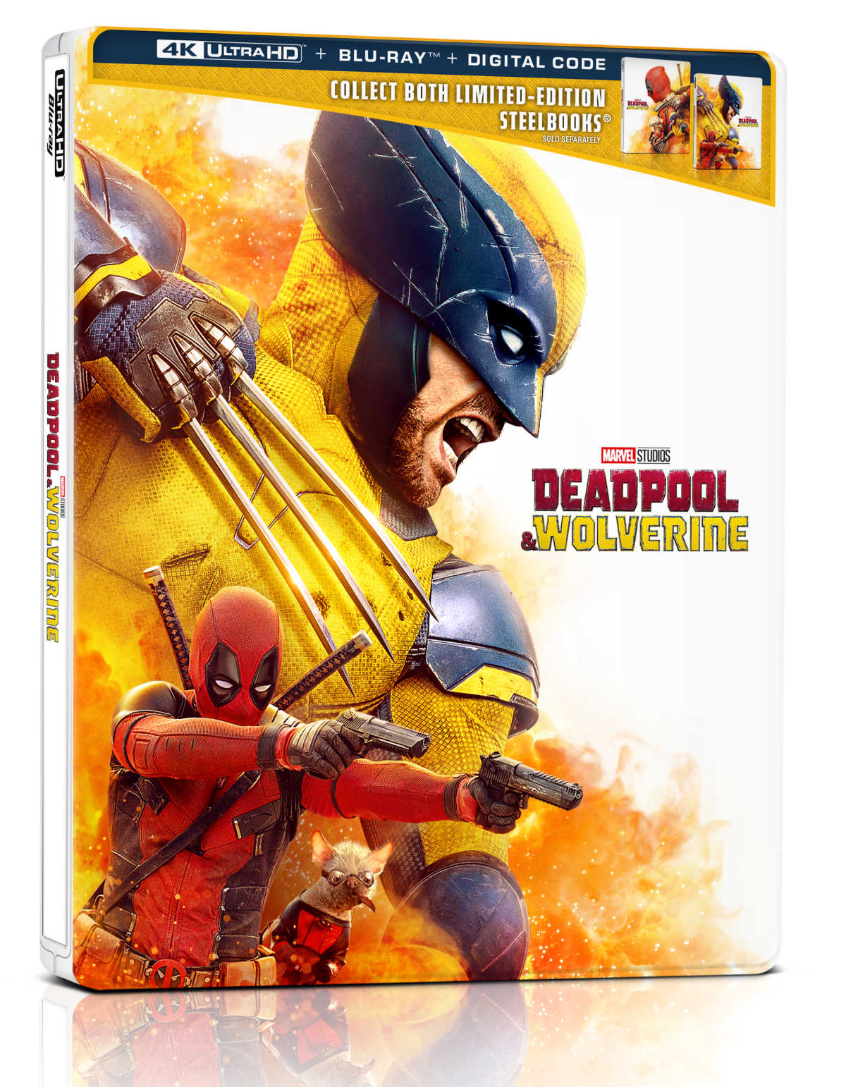 Discover the hilarious and chaotic friendship between Deadpool and Wolverine in this action-packed buddy comedy. This movie is a must-watch for fans of Marvel, comedy, and unforgettable bromances.