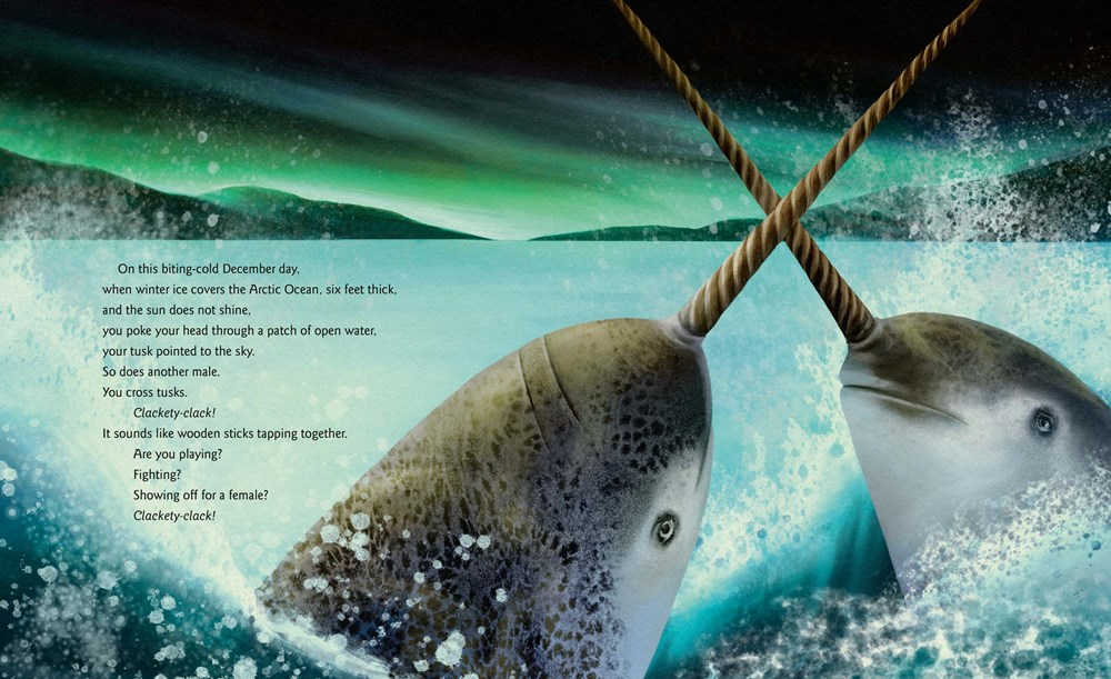 Interior illus by Deena So’Oteh from NARWHAL Unicorn of the Arctic by Candace Fleming_1