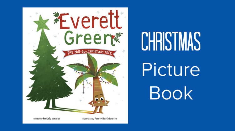 christmas picture book everett green