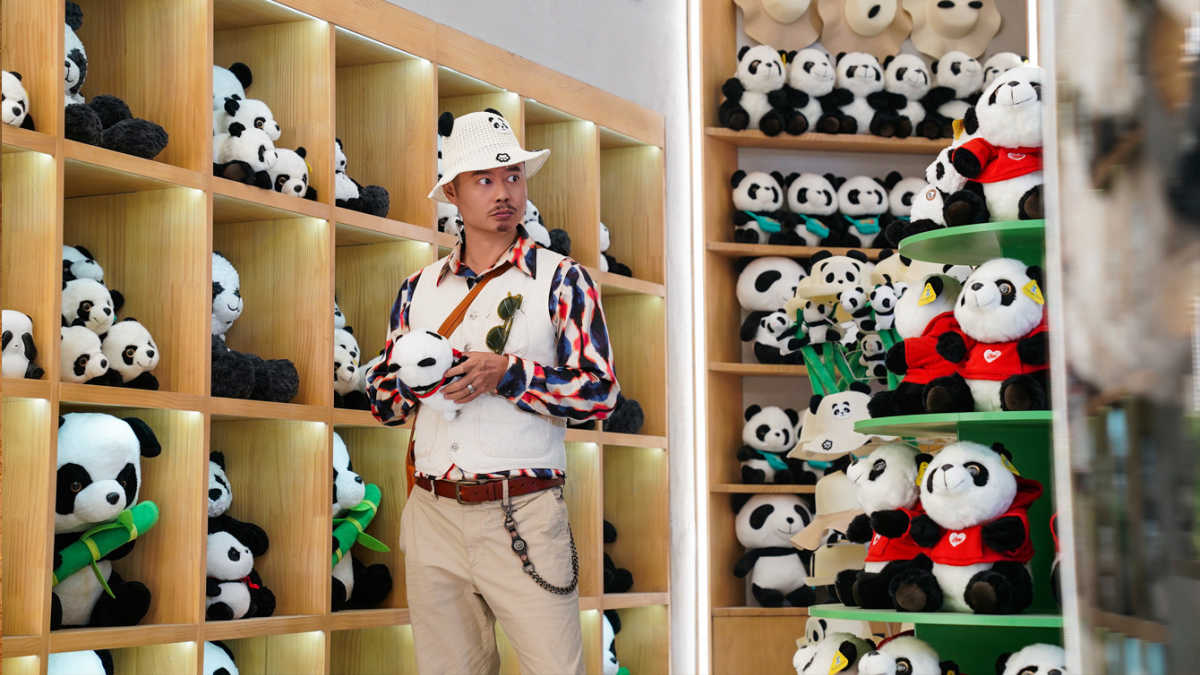 scene in panda plan