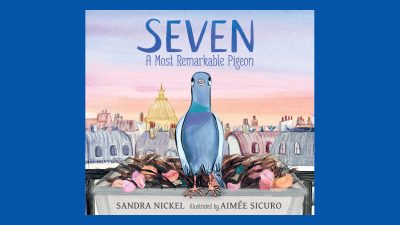 seven a most remarkable pigeon