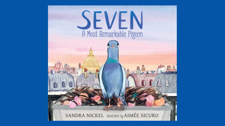 seven a most remarkable pigeon