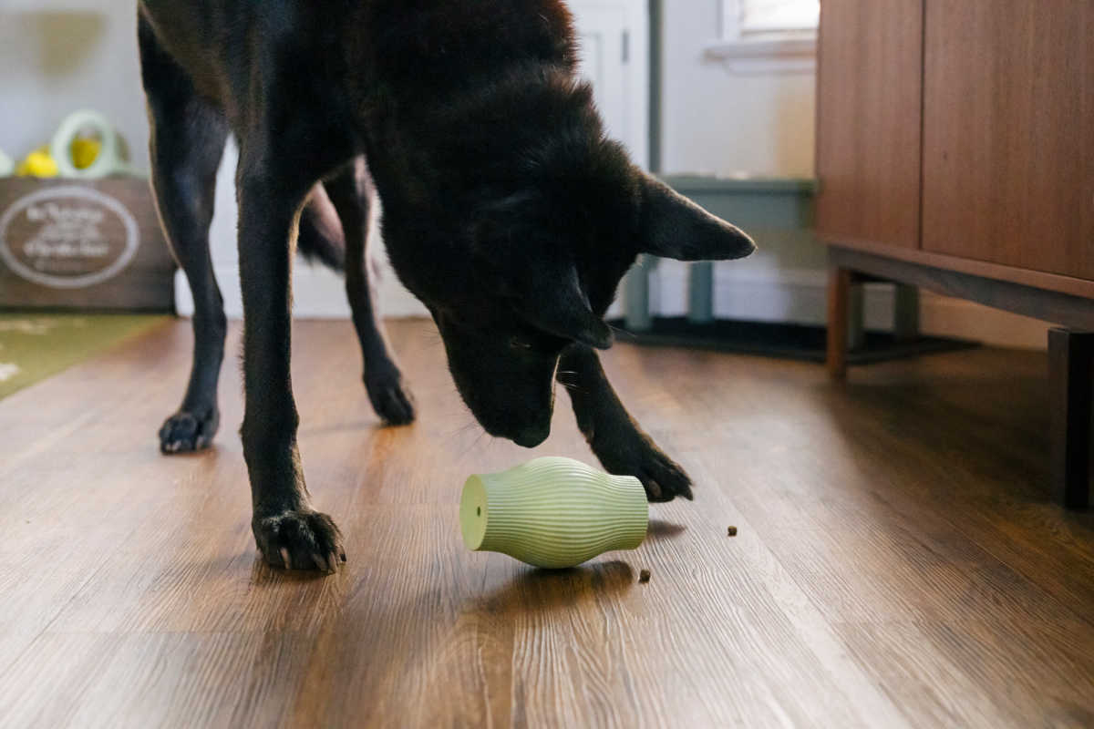 dog treat toy
