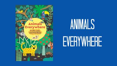 illustrated animals everywhere childrens book