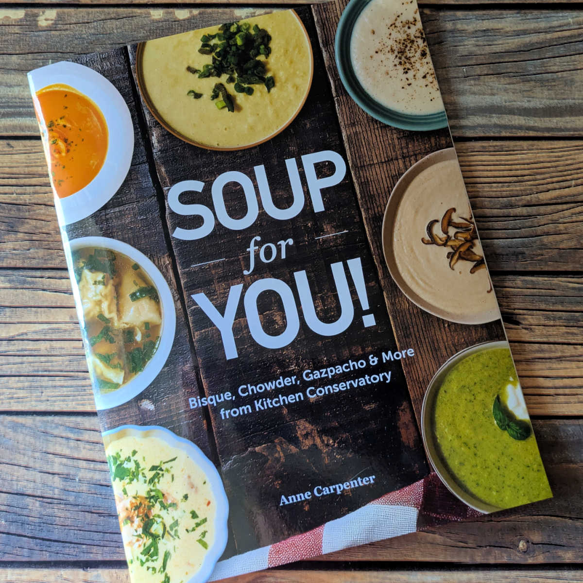 ann carpenter soup for you cookbook