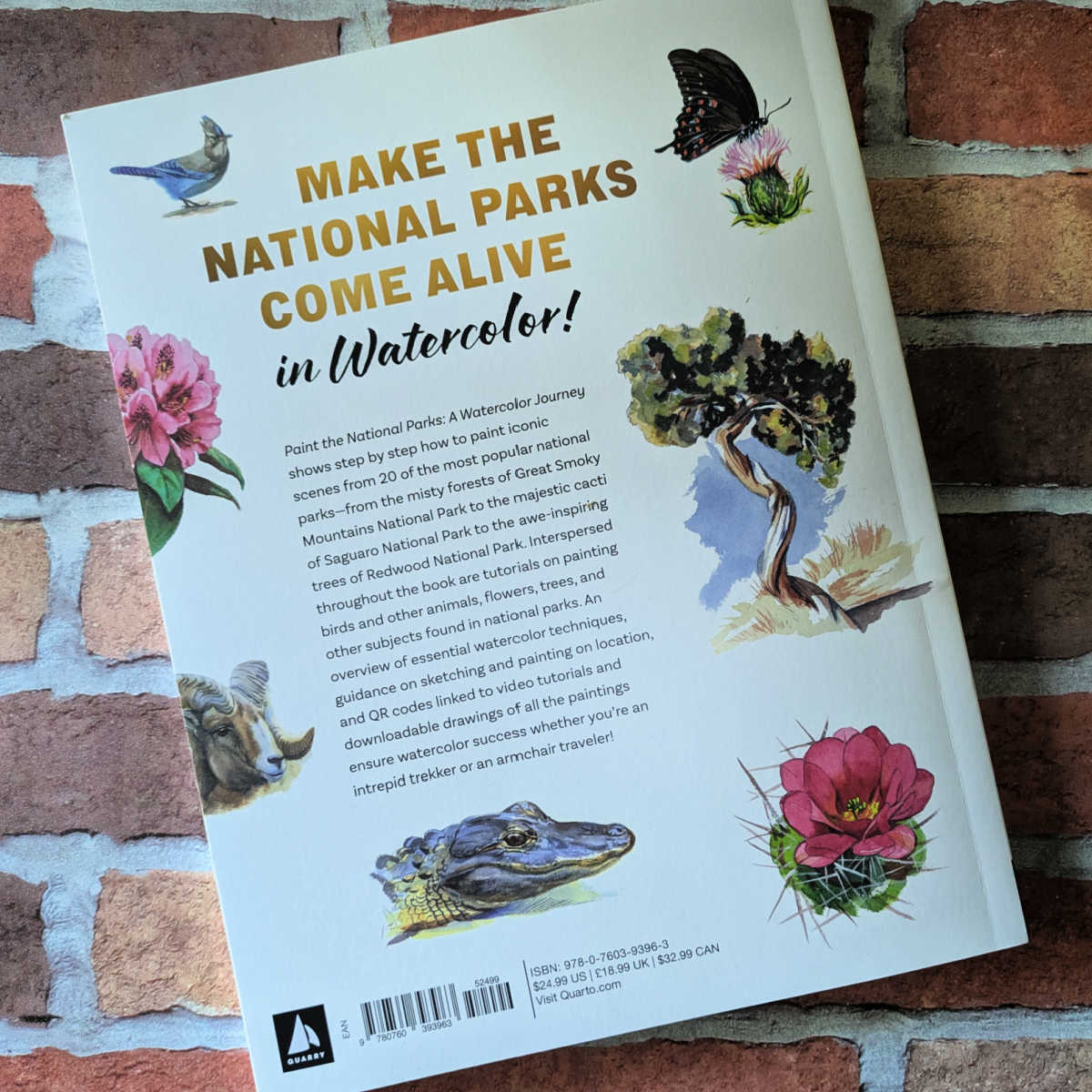 back cover paint the national parks