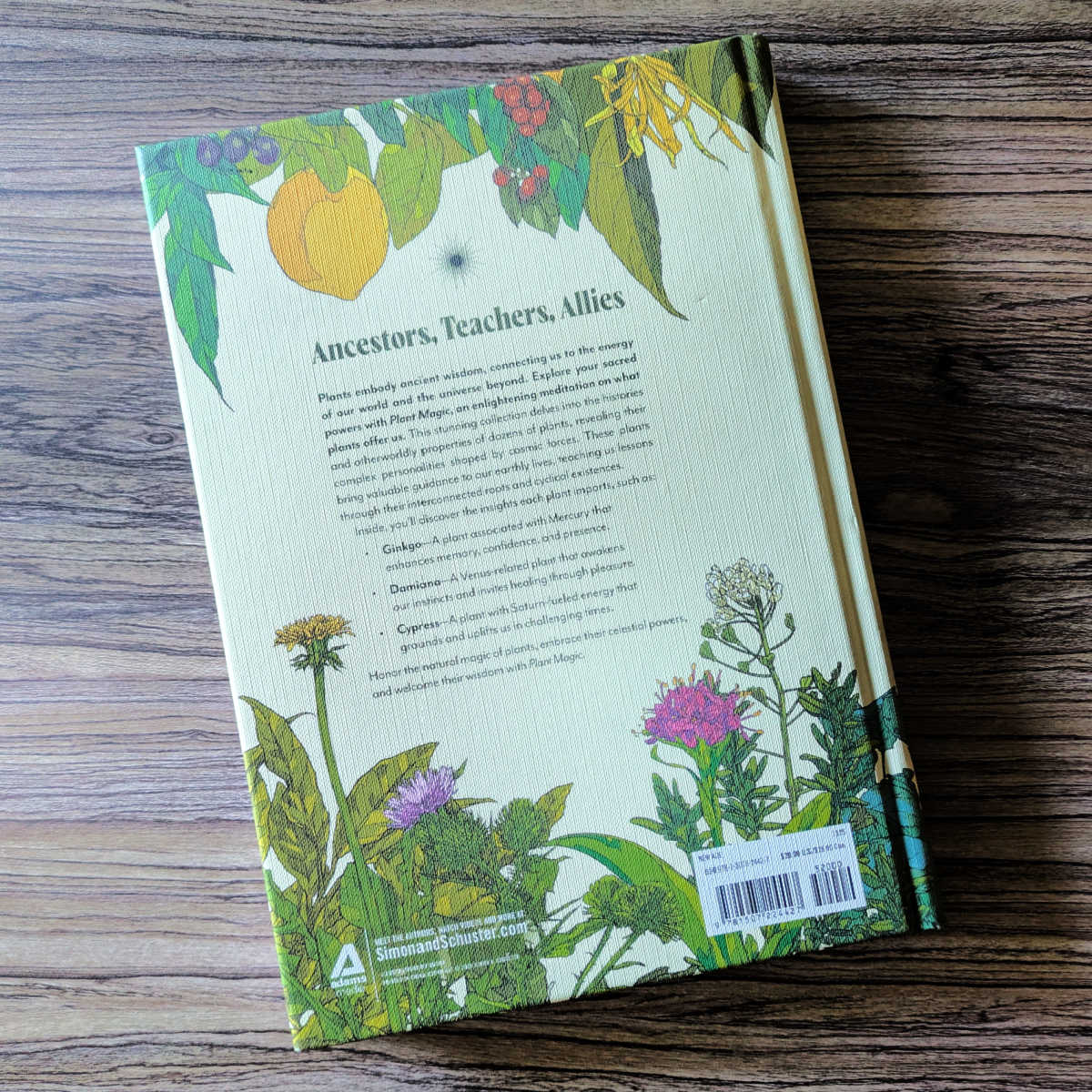 back cover plant magic