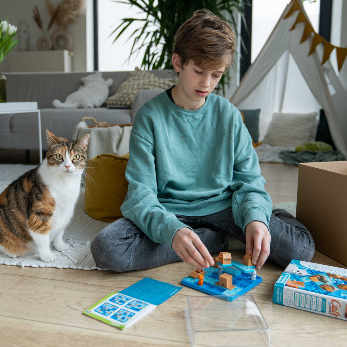 cat and boy playing game