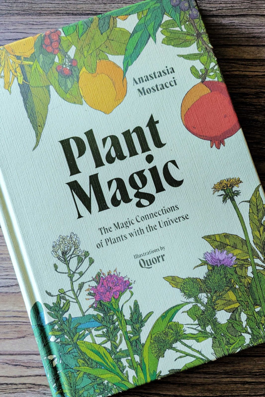 Discover the spiritual power of nature with Plant Magic. Explore the cosmic connections between plants and the Divine, from Gingko to Damiana. This is a beautiful, mystical gift.