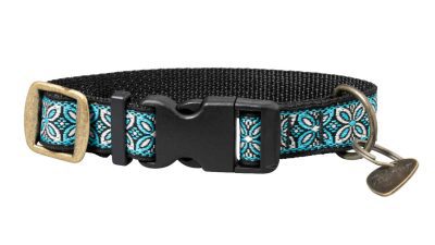 blue gibson dog collar