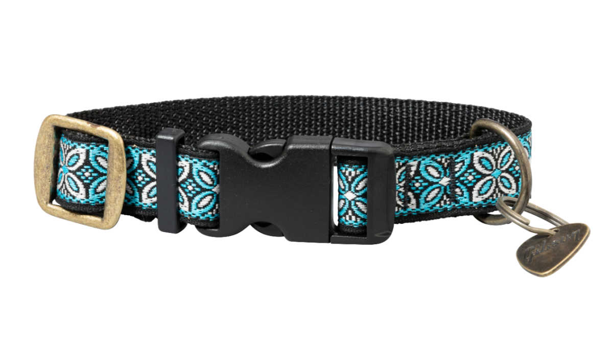 blue gibson dog collar