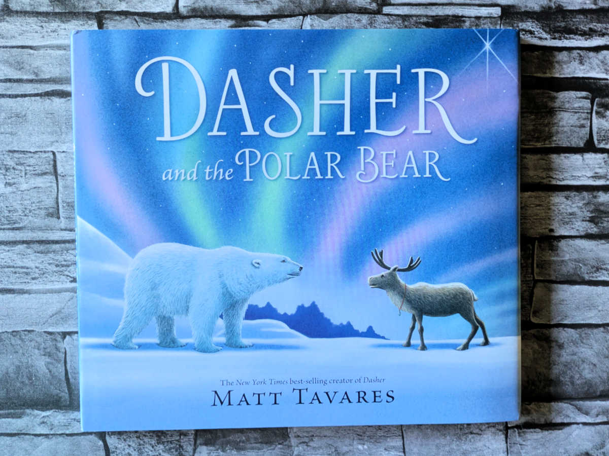 dasher and the polar bear